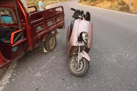 一条看家狗追逐电动车 引发两车相撞致5人受伤图片