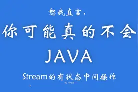 恕我直言你可能真的不会java系列之Stream的状态与并行操作视频封面