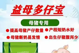 母健康，仔健壮！多产仔，产好仔，还得益母多仔宝图片