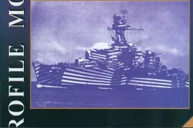法国拉加利索尼埃级巡洋舰French Cruisers La Galissonniere图片