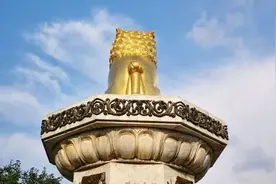 写给法学新生的建议图片