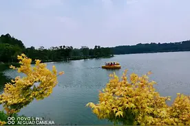 疫情期间南京可以放心游玩的景点——中山植物园。图片
