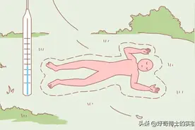 死后的24小时，你的尸体在干嘛？图片