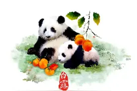 一个家庭的灾难大多来源于以下五点图片