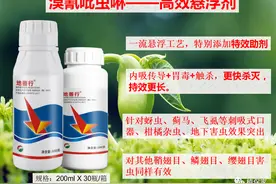 这个药能杀500多种害虫，更快击倒更长持效，价格还便宜！图片