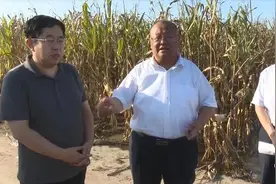 王忠想到菏泽高新区吕陵镇调研农田排涝及“三秋”农业生产工作图片