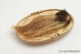 每日一中药——玉米须图片