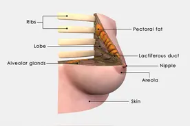 乳腺结节“不好惹”，这些食物堪称乳腺结节的“加速器”劝你少吃图片