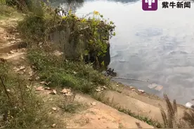 疑似被推下水溺亡女子的女儿发声：妈妈和她不是闺蜜，希望查清真相图片