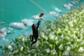 除了鱼获之外，钓到这些奇葩东西，才算真正的钓鱼人图片