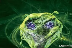 地球是个生命体？科学家曾发现地球微微颤动，5小时震十多次图片