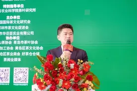 【最新消息】第10届青岛茶博会 首届崂山茶产业博览会昨日开幕！图片