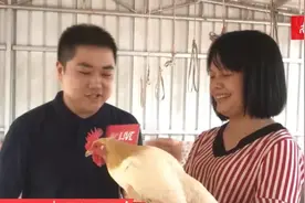 ​“加快深圳至南宁高铁建设”全国人大代表李小兰履职建言力促家乡发展图片