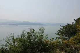 宝马香车清渭滨，红桃碧柳禊堂春。原来今天才是真正的中国情人节图片