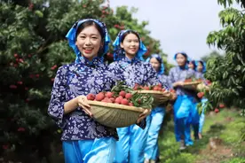 这里是武乐！图片