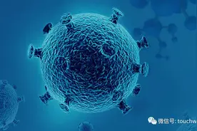 金斯瑞旗下传奇生物美国上市：开盘涨60% 市值近48亿美元图片