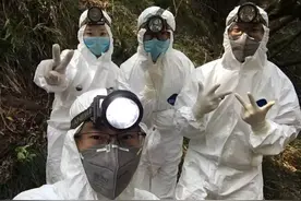 新冠病毒和吃蝙蝠有关吗？生活中见到的蝙蝠会传染新冠病毒吗？这些迷思该如何解开图片