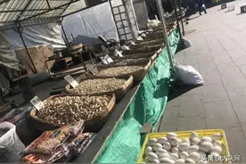 家门口“大集”开了！我市部分露天市场已有序开放，都在哪？快来看图片