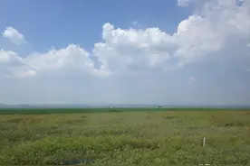 北京正北方的青青草原——内蒙古多伦草原图片
