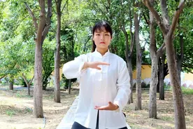 太极拳讲平衡，形体平衡、心态平衡、阴阳平衡图片