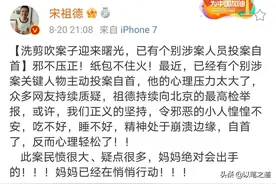 宋祖德作家再发文声称：洗剪吹案子迎来曙光图片