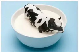 碳交易来了 奶业减排何去何从图片