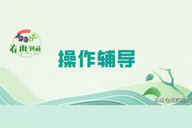 #春雨润苗 助力小微#电子税务局办税攻略 ▏如何查询个人所得税纳税情况？（11月第十四期）图片