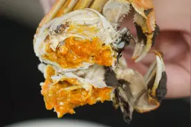 太仓这些美食，让吃货的眼泪从嘴角流出……图片