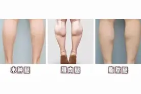 6组数据告诉你自己是胖子还是瘦子图片