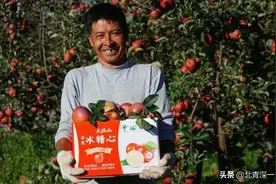 一颗苹果的“逆袭”图片