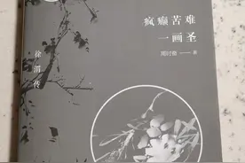 《徐渭传》——文人的风骨图片