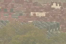 "河景房"变"墓景房"！上海一小区上百户居民很闹心：白天都不敢往那看图片