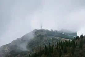 再上五指岭图片