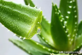 长期抹芦荟胶对脸好吗？长期抹芦荟胶对脸有影响吗？图片