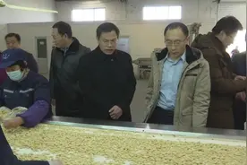 刘晓军、王强等一行7人来莒南县调研 花生产业发展情况图片