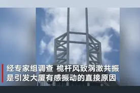 赛格大厦振动原因查明：桅杆风致涡激共振是直接原因，专家认为大厦结构安全，可继续使用图片