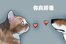 猫狗漫画系列：头像、朋友圈的背景图、手机壁纸图片