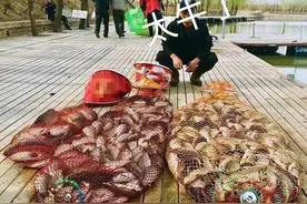 黑坑钓鲤鱼不得不说的秘密，这是空军到坑冠的转变图片