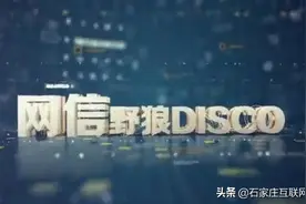 嗨起来！网信版《野狼DISCO》送给你！图片
