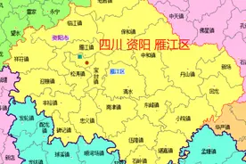 资阳雁江区22镇、乐至县25镇的变迁：人口、土地、工业…基本统计图片