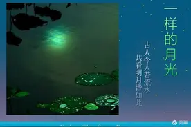 一样的月光图片