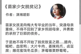 男主温和理智高素养，脱贫爽文，《苗家少女脱贫记》图片
