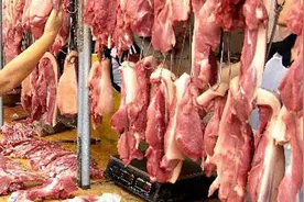 台湾将开放美国含瘦肉精的猪肉、牛肉进口？苏贞昌态度暧昧图片