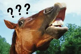 打了几千年，才发现马鞭根本不能控制马！马：我白挨打了？图片