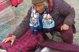 老奶奶大冷天坐在路边卖狗，路人翻开布看清后：这土狗谁要啊？图片