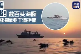超美偶遇！数百头海豚陪中国海军亚丁湾护航图片
