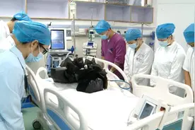 泪目！16岁男孩捐出器官救活4人，他的心脏在15岁女孩的身体内继续跳动……图片