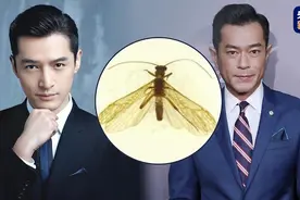 为什么用胡歌、古天乐给新物种命名？原来这么讲究图片