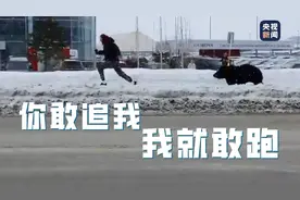 俄罗斯小伙街上被棕熊追逐 幸运逃脱图片