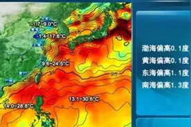 新年第一周海况来了！这三个地方将持续有较大风浪图片